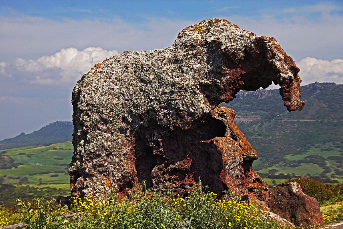 Domus de janas della Roccia dell'Elefante - Castelsardo