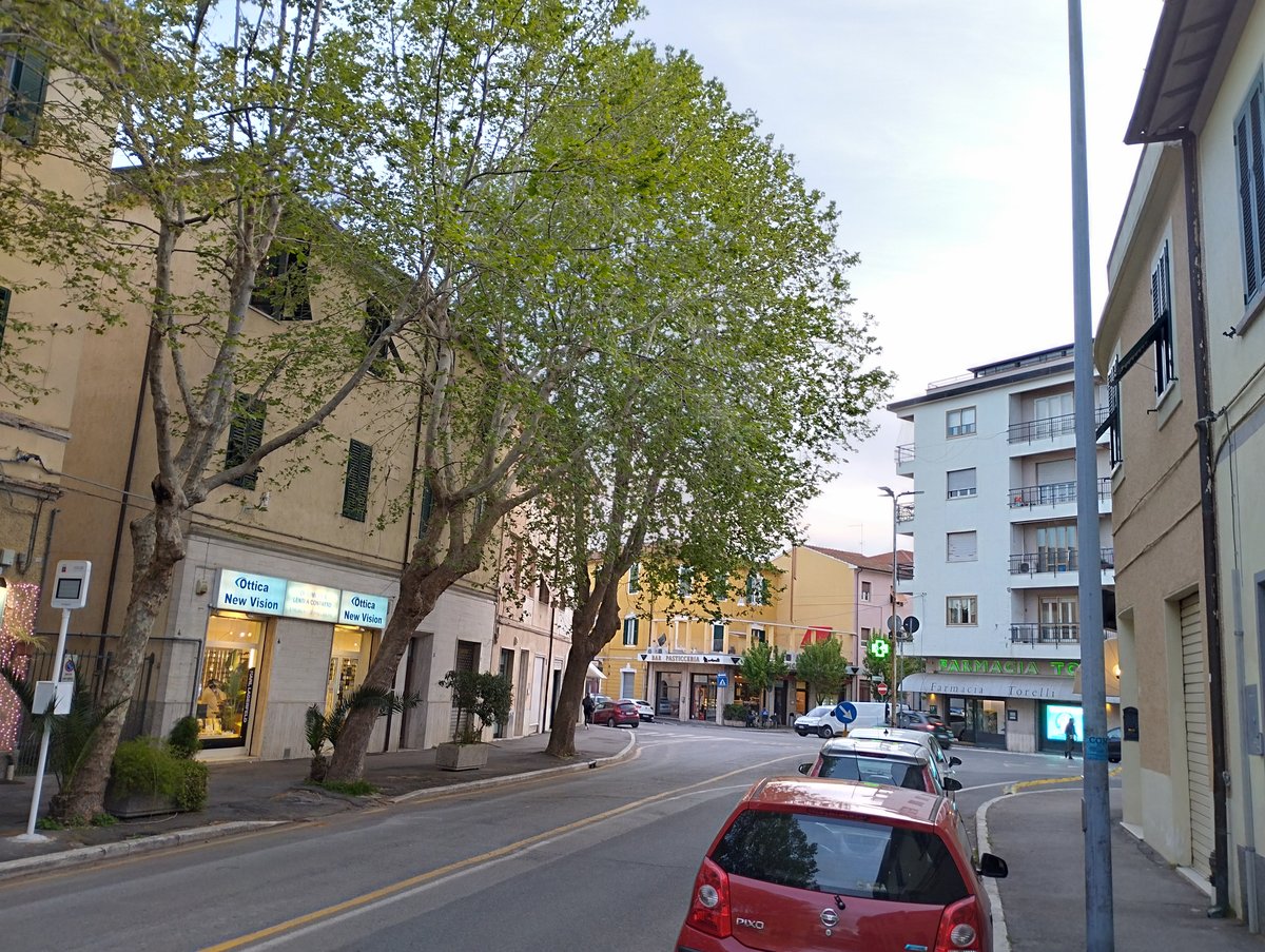 piazza Amilcare Ponchielli - Grosseto