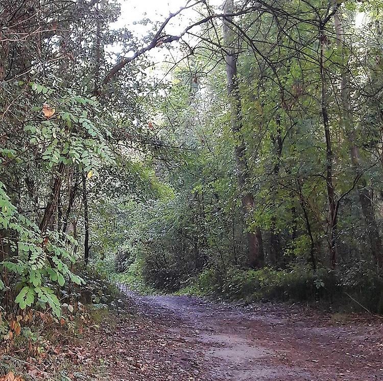 Parco della Sora - 1