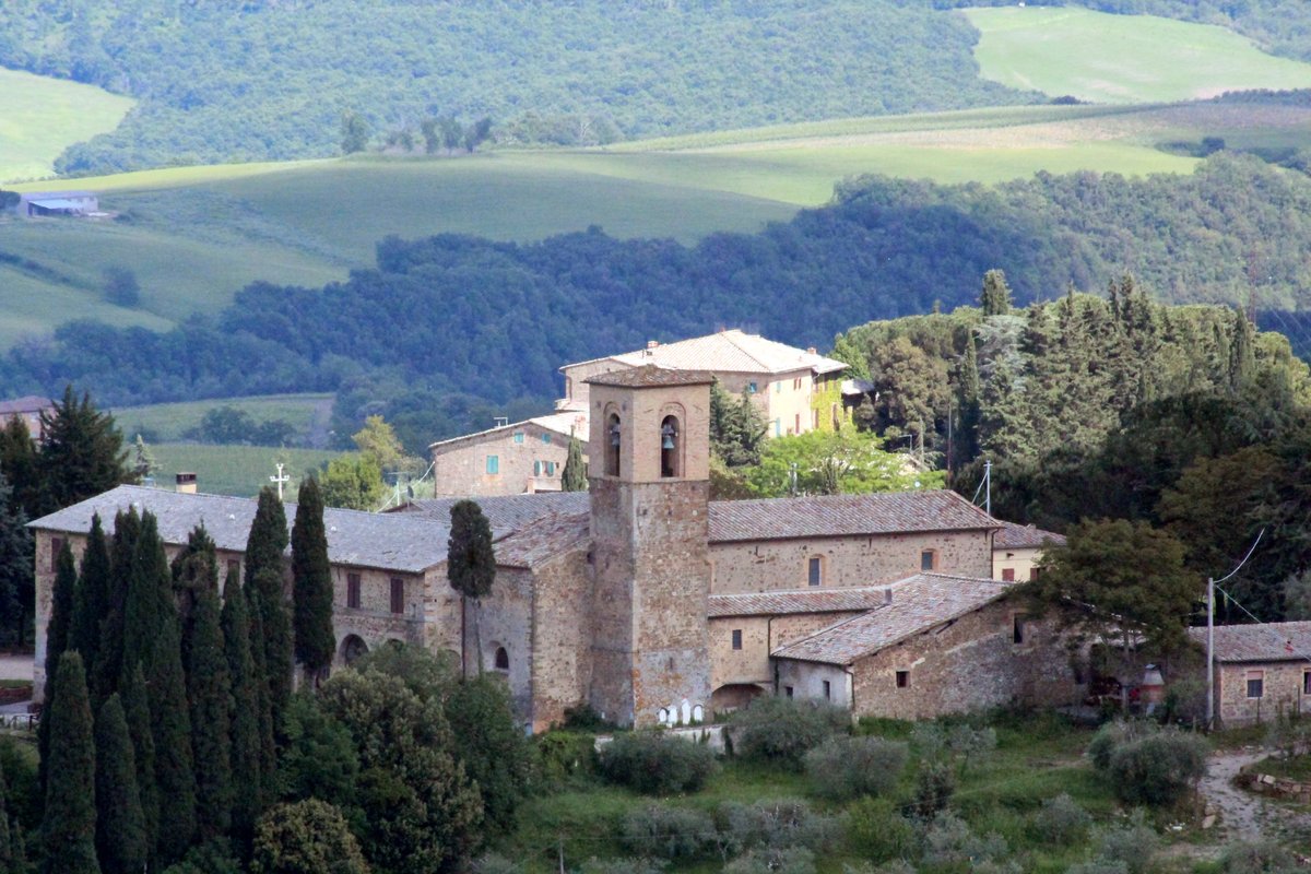 chiesa della Compagnia di San Bernardino - Trequanda