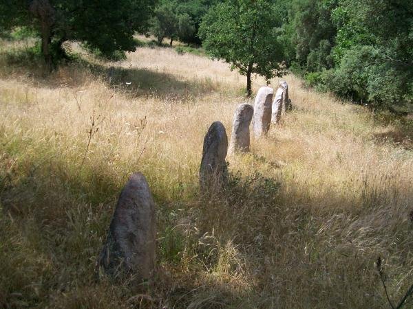 Menhir di Biru 'e Concas - Sorgono