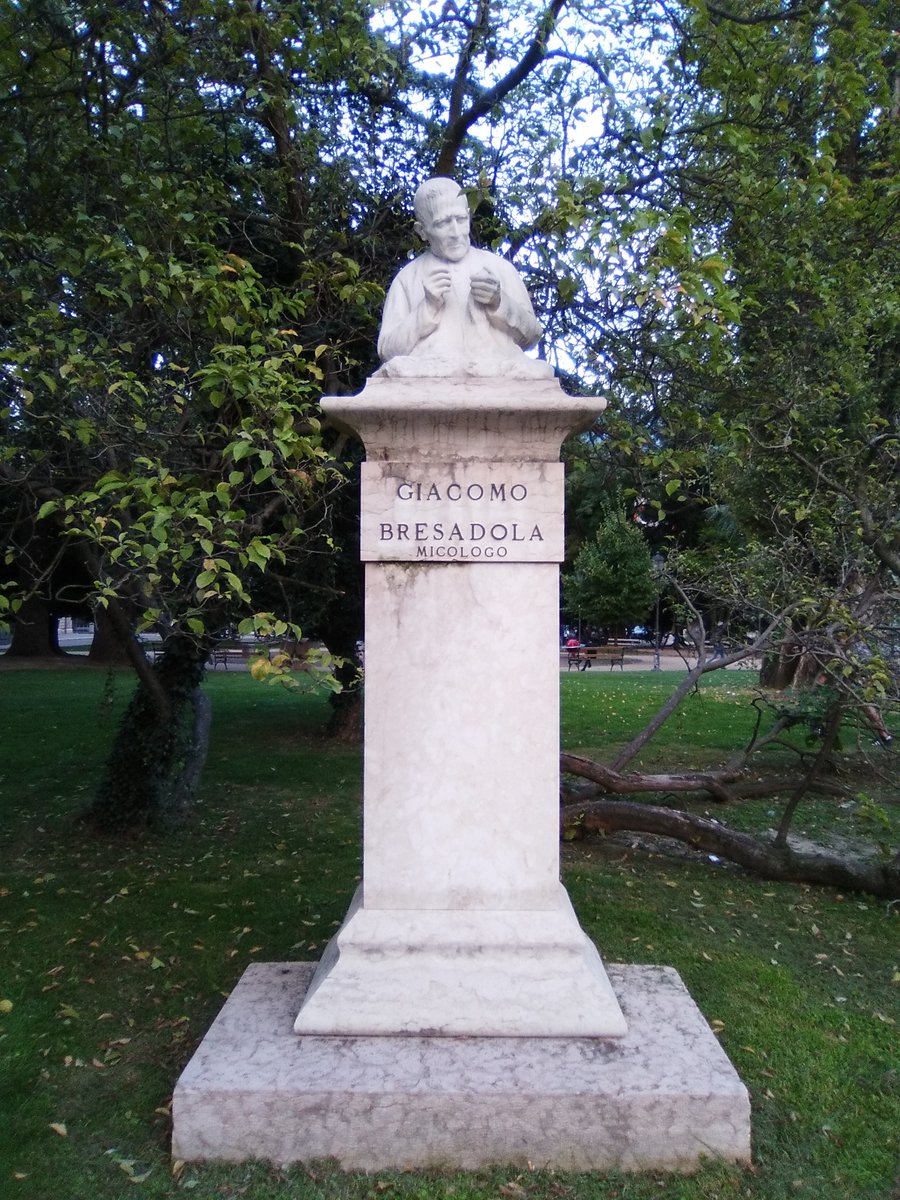 busto di Giacomo Bresadola