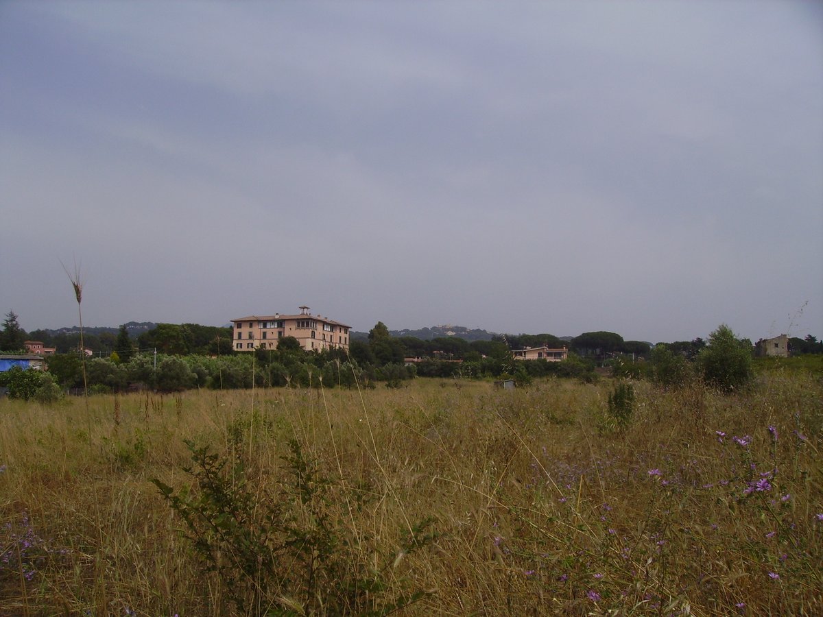 Bovillae - Marino