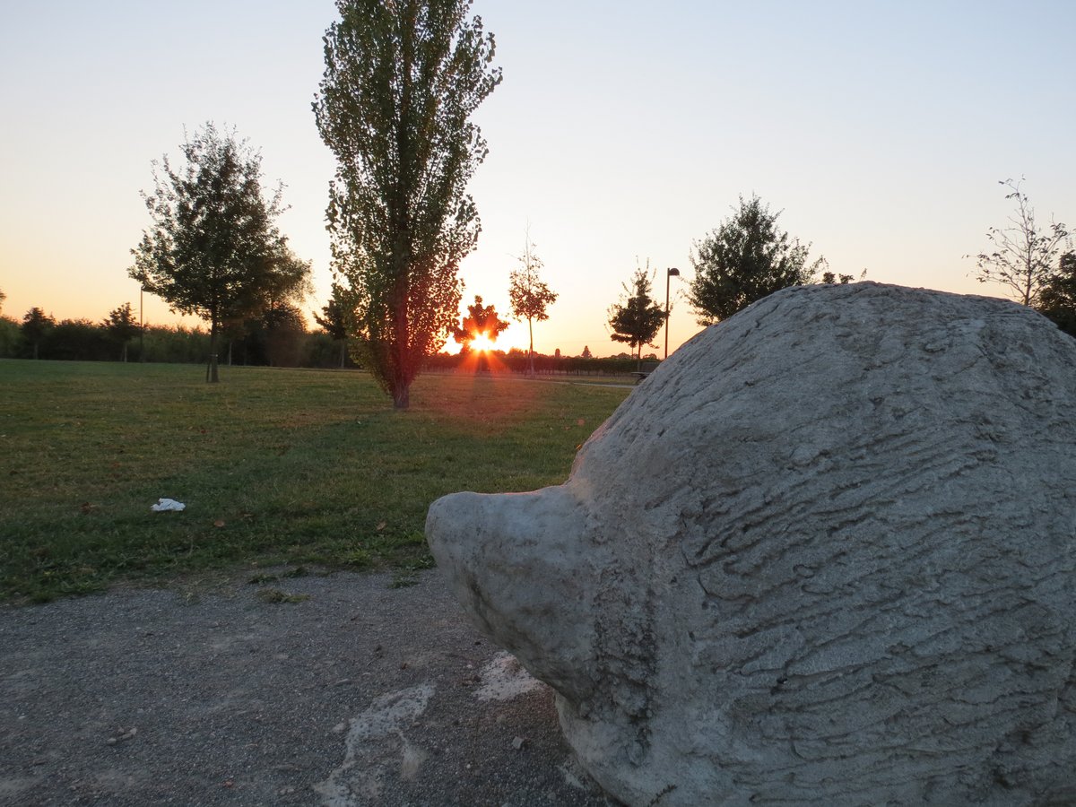 parco Lupicchio - Castel Maggiore
