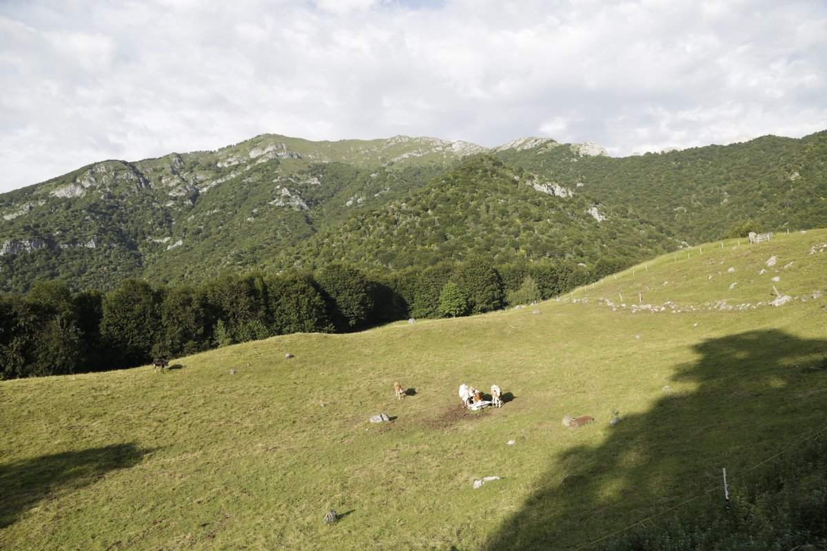 alpe di Lierna - Lierna