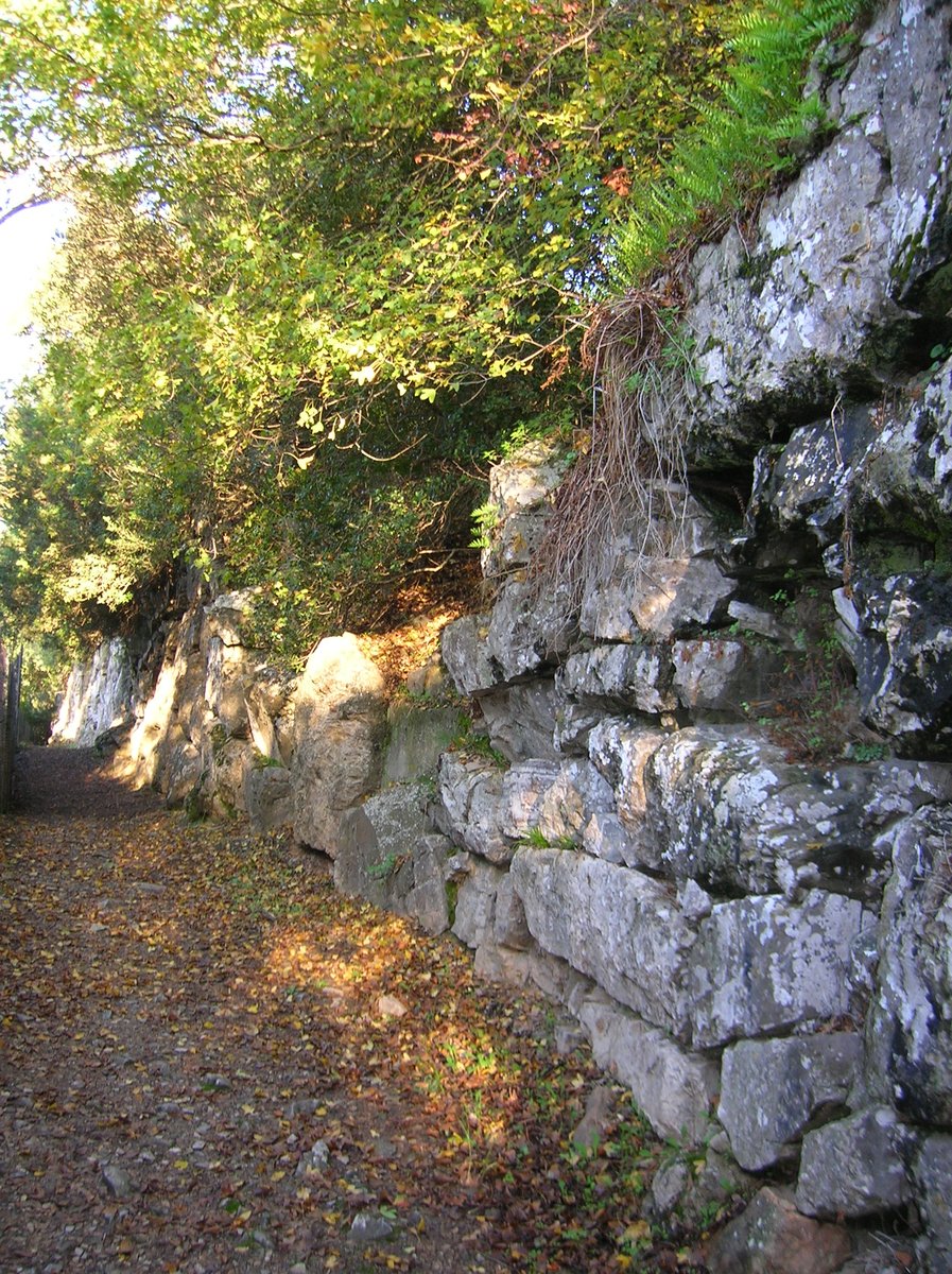 mura di Roselle