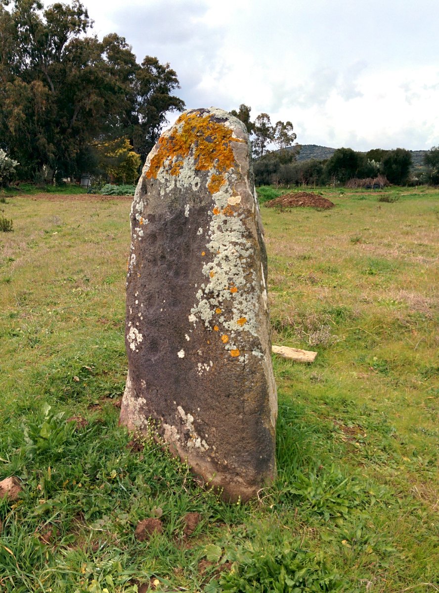 menhir di Genna Prunas - Guspini