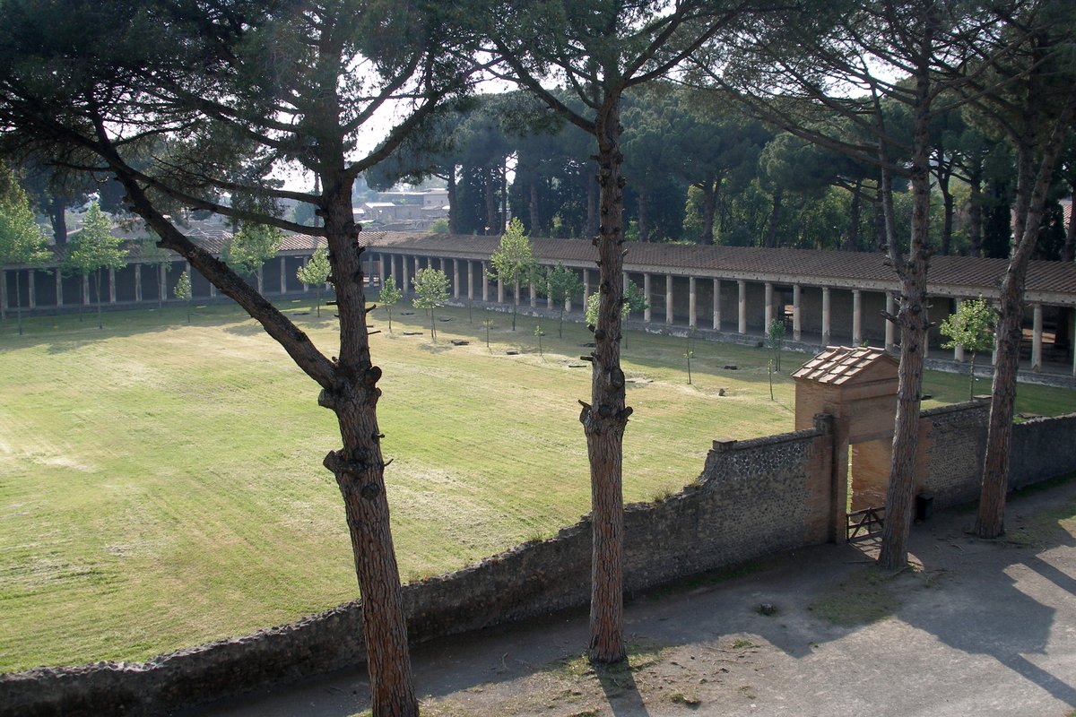Palestra Grande