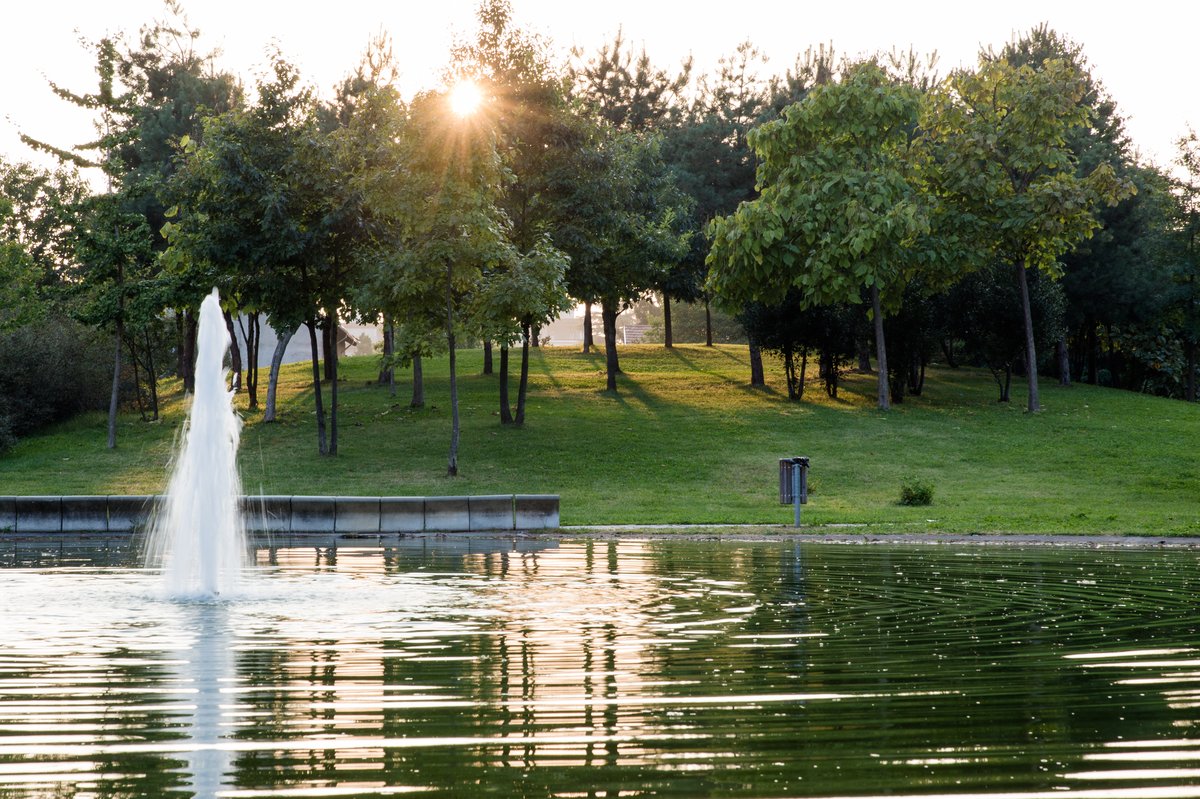 parco Comerio