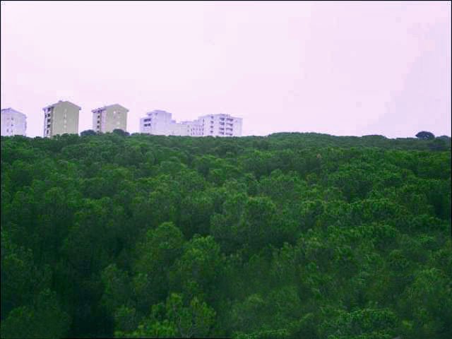 parco di Baddimanna