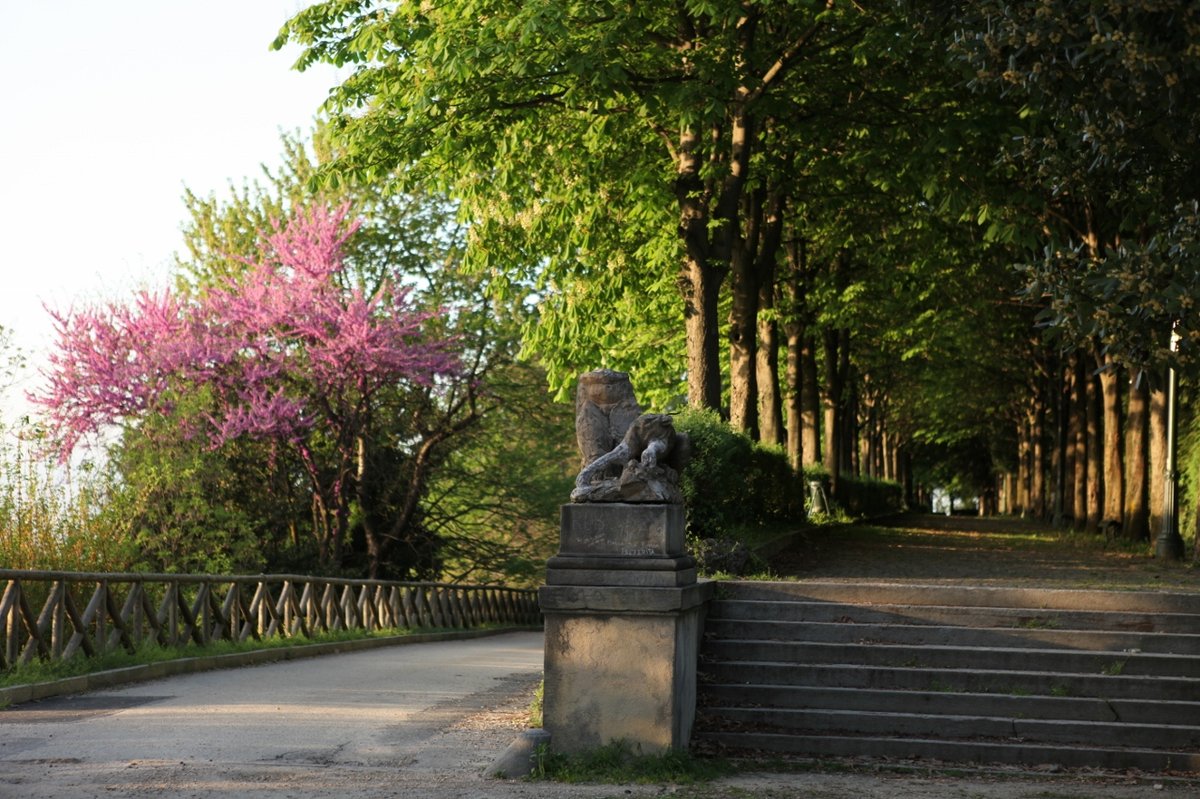 parco di Villa Genero