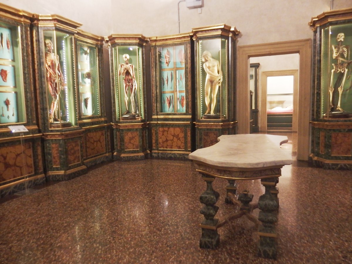 Museo di palazzo Poggi - Bologna