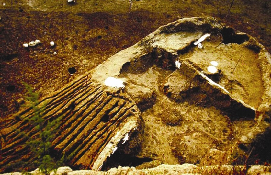 sito archeologico di Nola-Croce del Papa - Nola