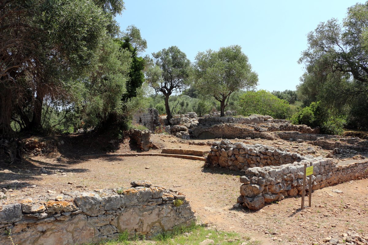 Foro di Cosa
