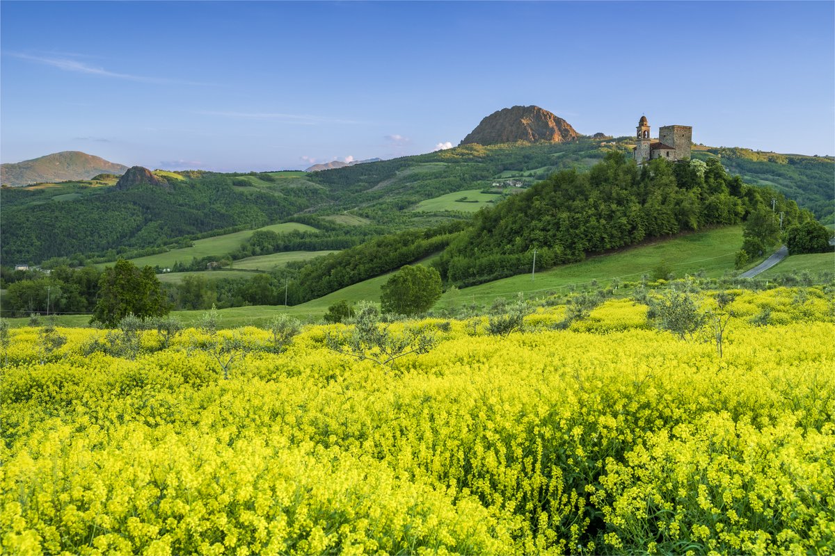 chiesa di San Michele Arcangelo - Travo