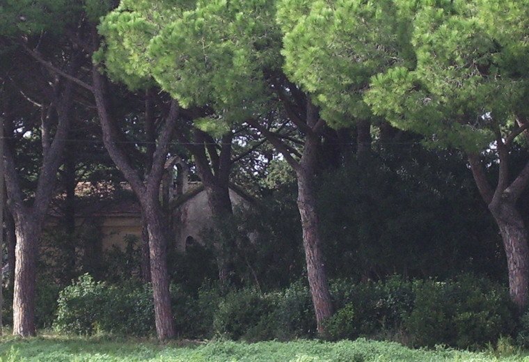 cappella di Santo Stefano alle Strillaie - Grosseto