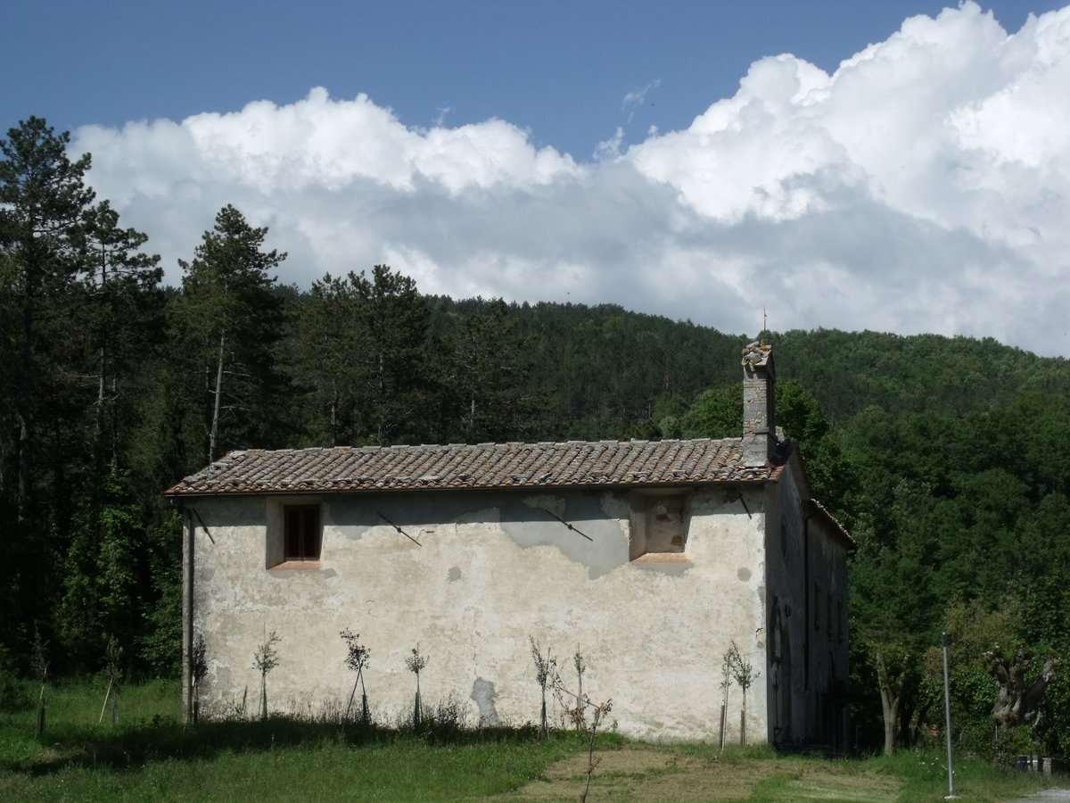 chiesa di San Bernardino - Roccalbegna