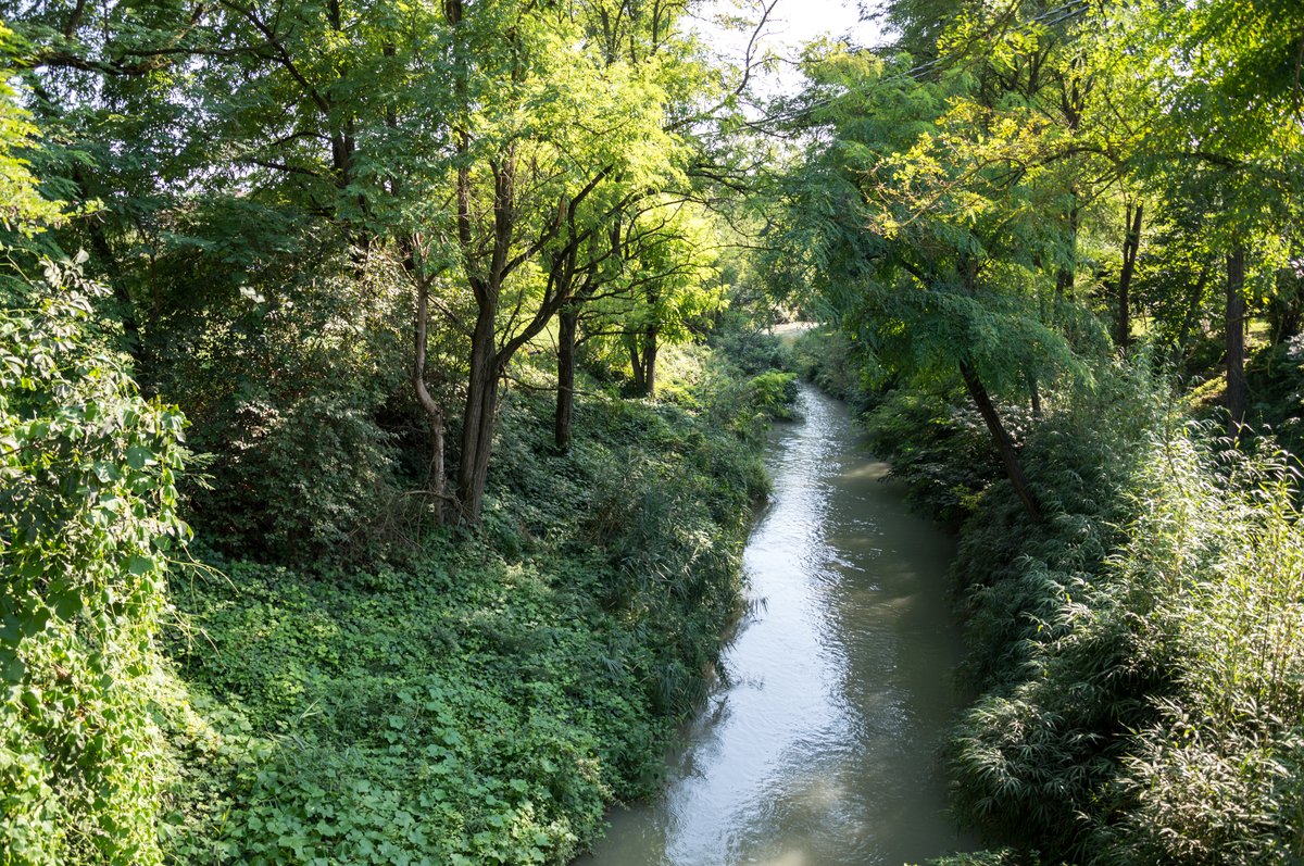 parco del Rodano