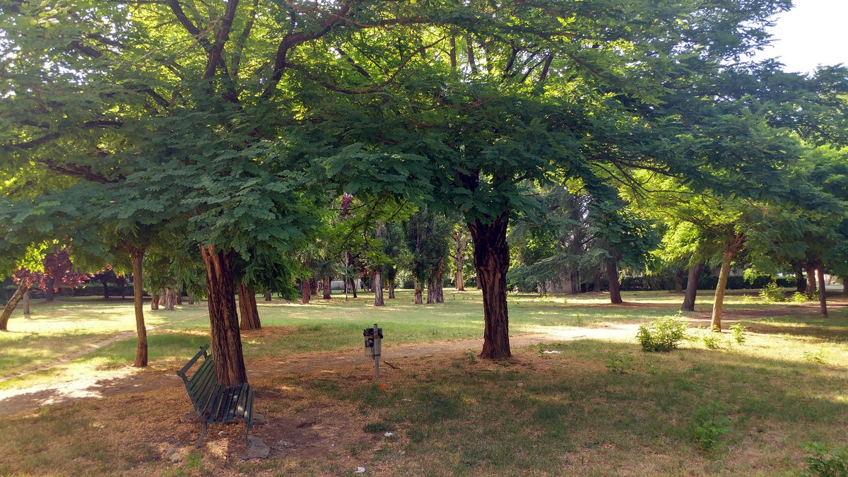 Giardini Giovanni Falcone - Paolo Borsellino (San Giovanni Valdarno)