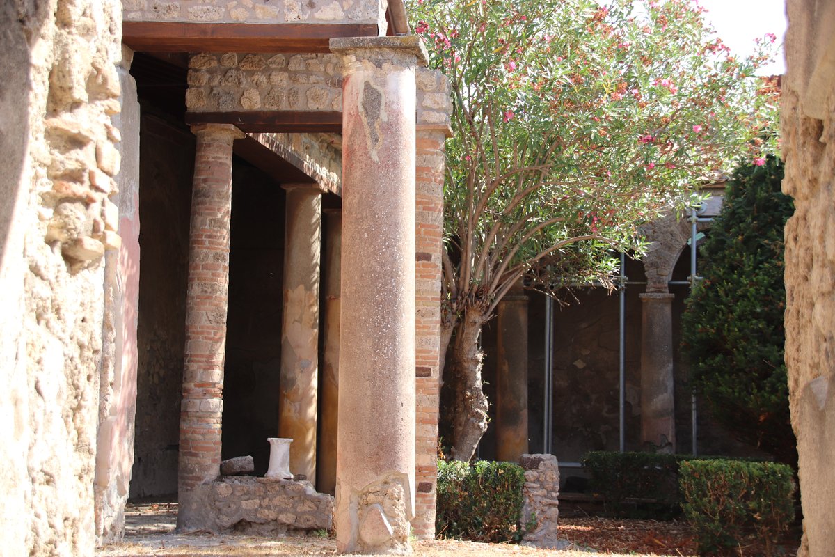 casa degli Archi (IX.7.20)