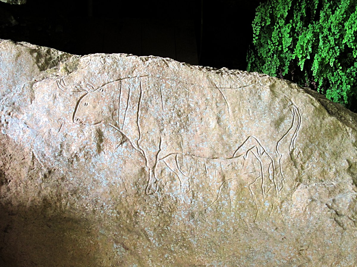 grotta del Romito - Papasidero