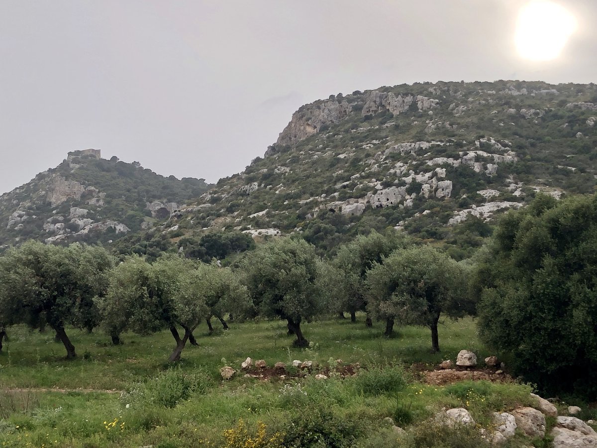 necropoli di Cassibile