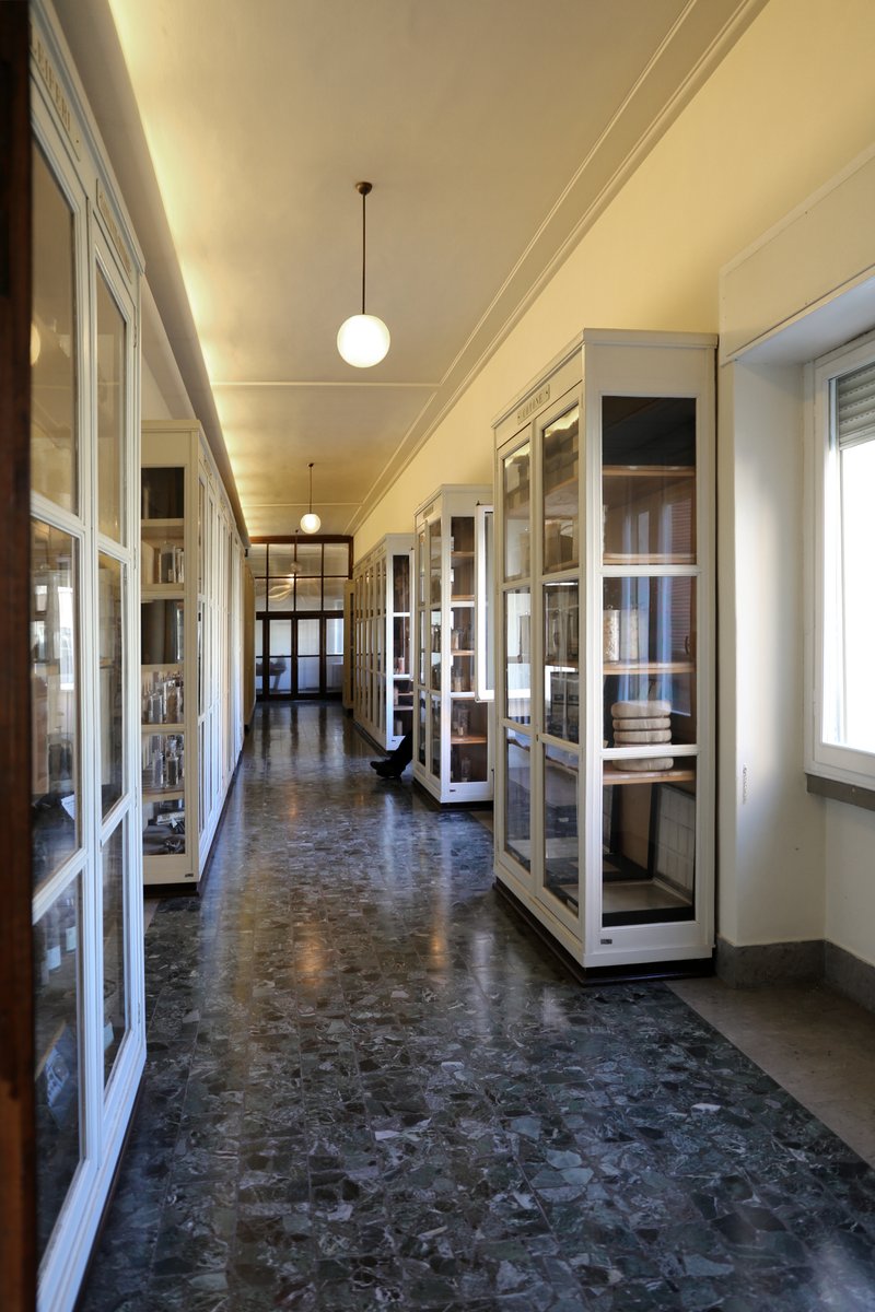 Museo agrario tropicale dell’istituto agronomico per Oltremare