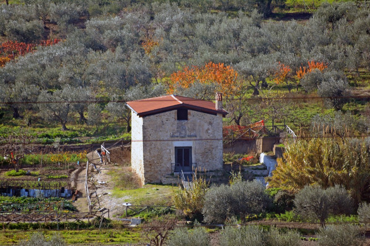 chiesa Madonna dello Juso - Irsina