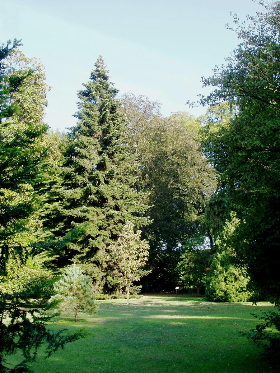 Orto botanico comunale di Lucca - Lucca