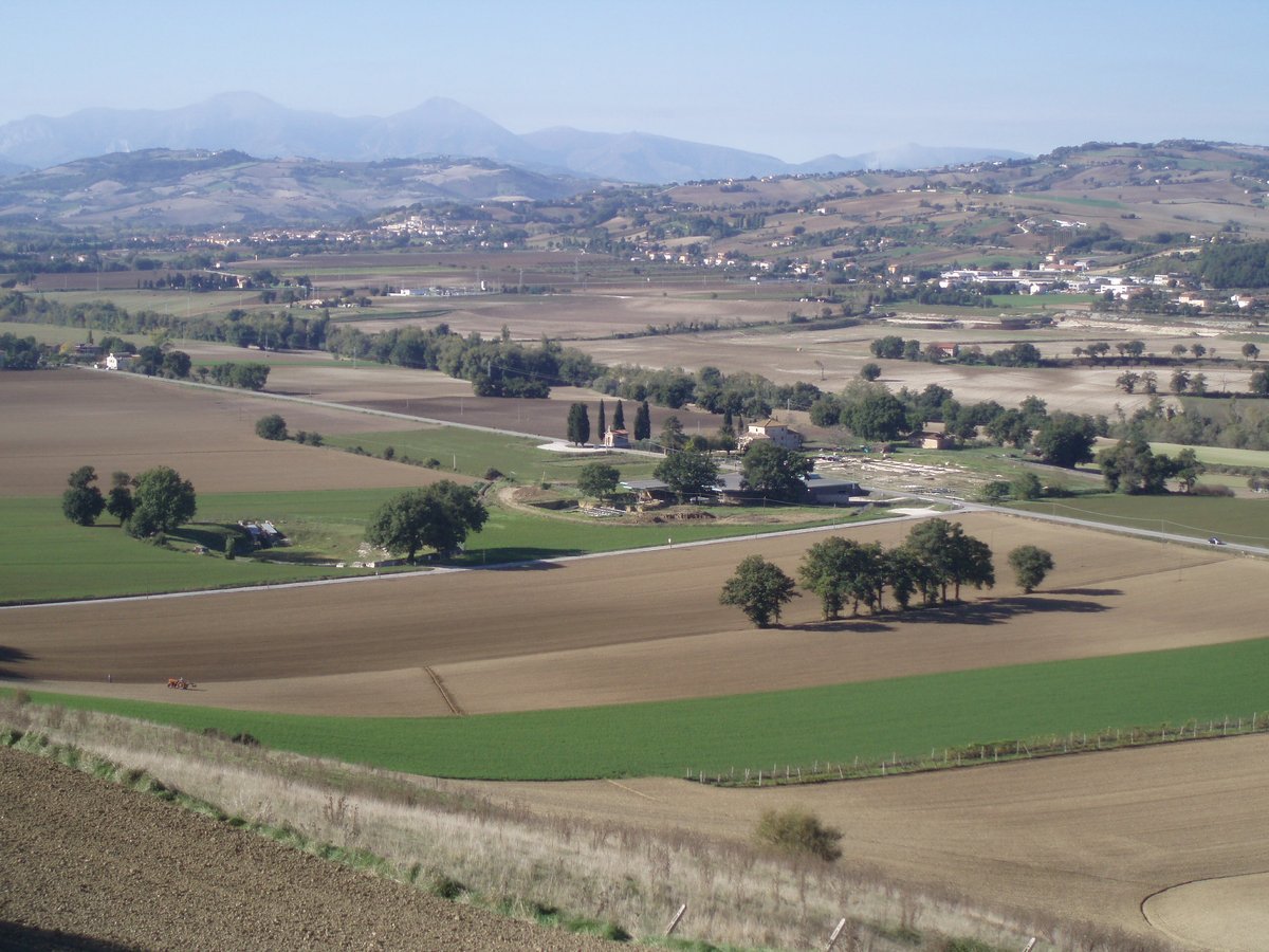 parco archeologico di Suasa - 1