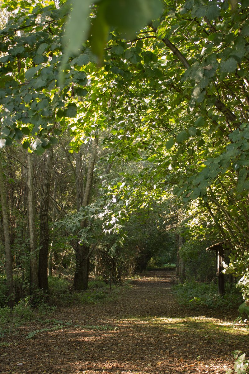parco delle Noci - Melegnano