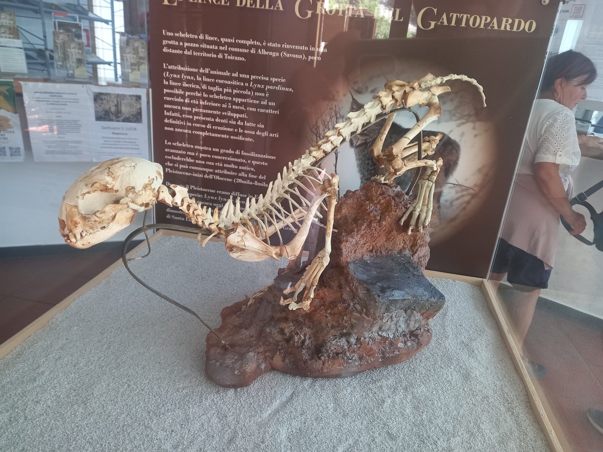 Museo preistorico della Val Varatella Nino Lamboglia - Toirano