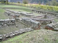 Mevaniola - Galeata