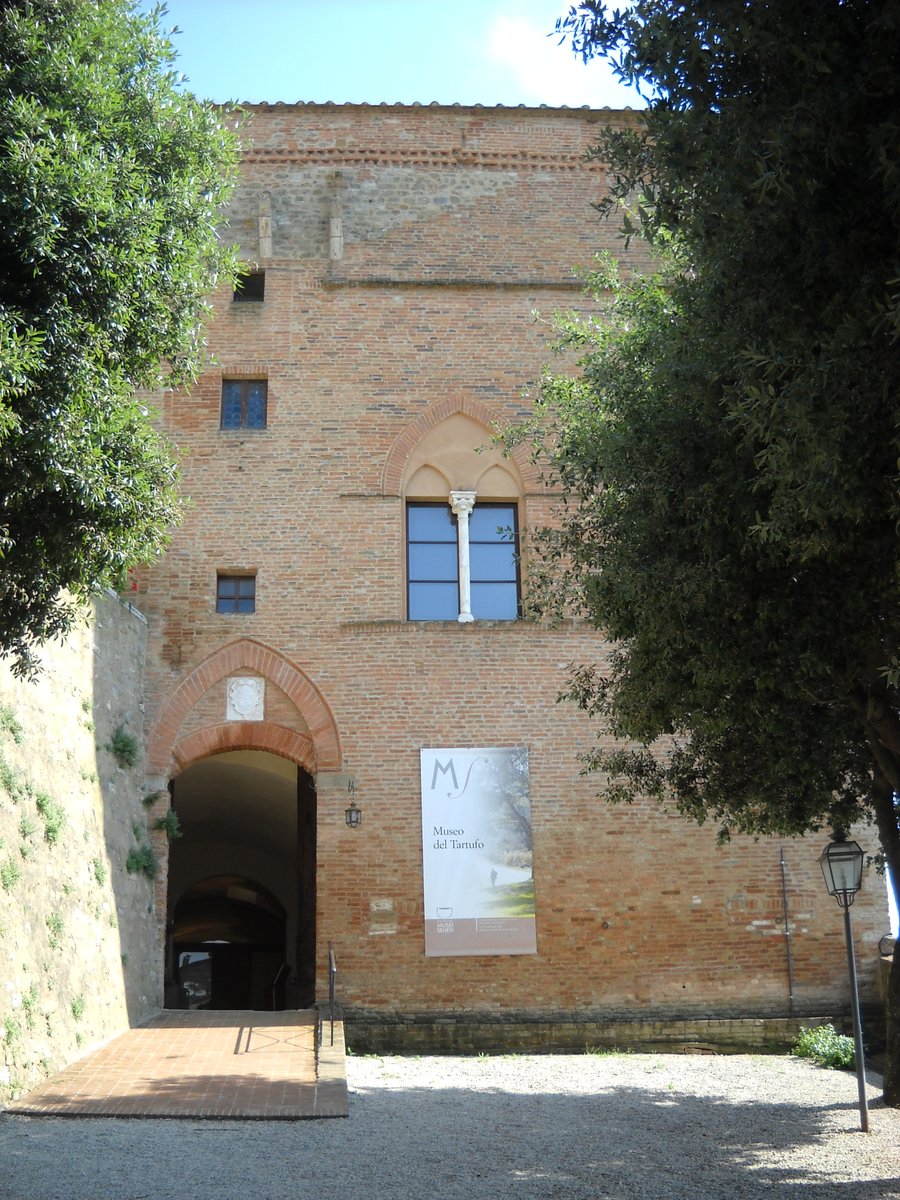 Museo e Centro didattico del tartufo e delle erbe spontanee - Montalcino