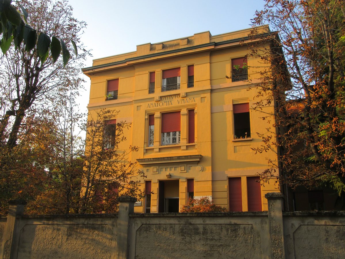 Museo di anatomia di Pavia - Pavia