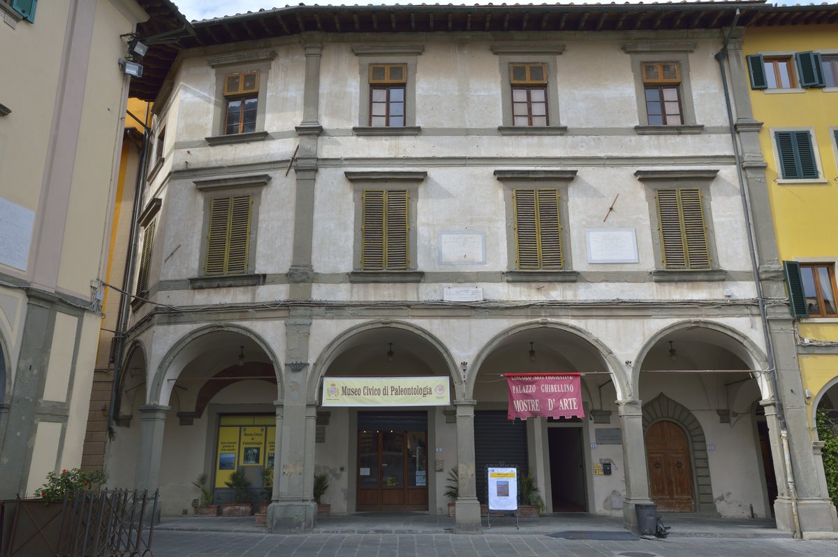 Museo civico di paleontologia