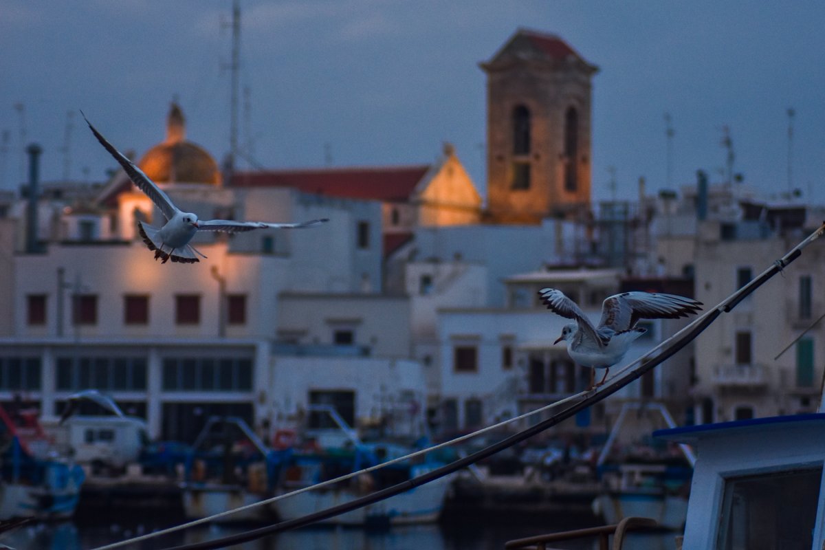 chiesa di San Nicola - Mola di Bari