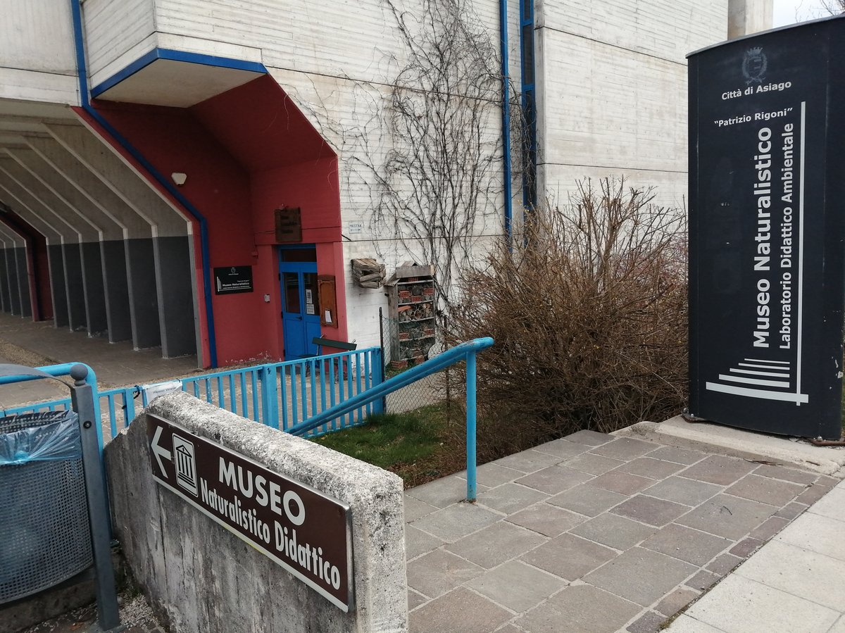 Museo naturalistico Patrizio Rigoni - Asiago