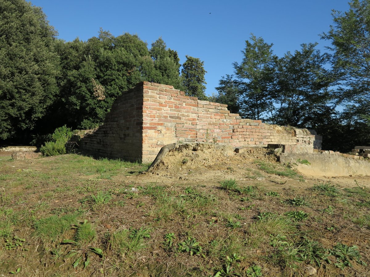 poggio di Rocca - Montopoli in Val d'Arno