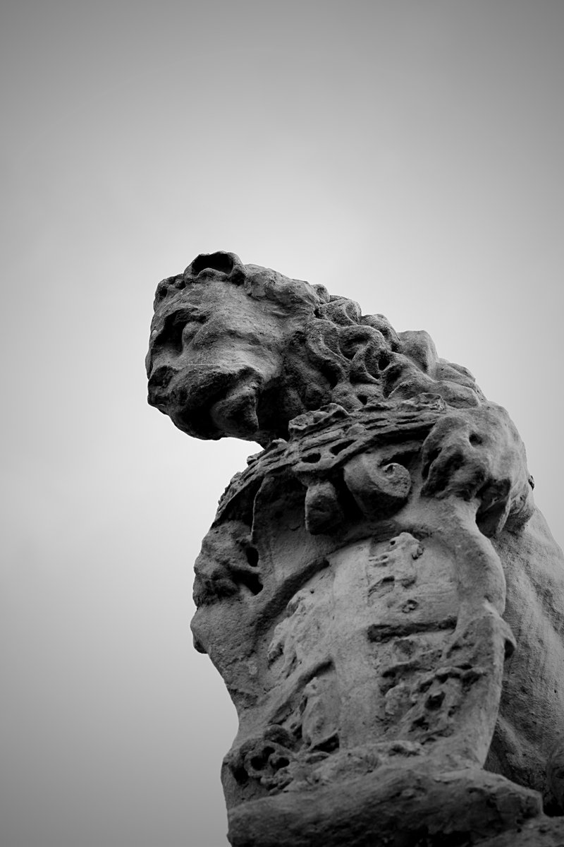 Leoni di via Visconti - Somma Lombardo