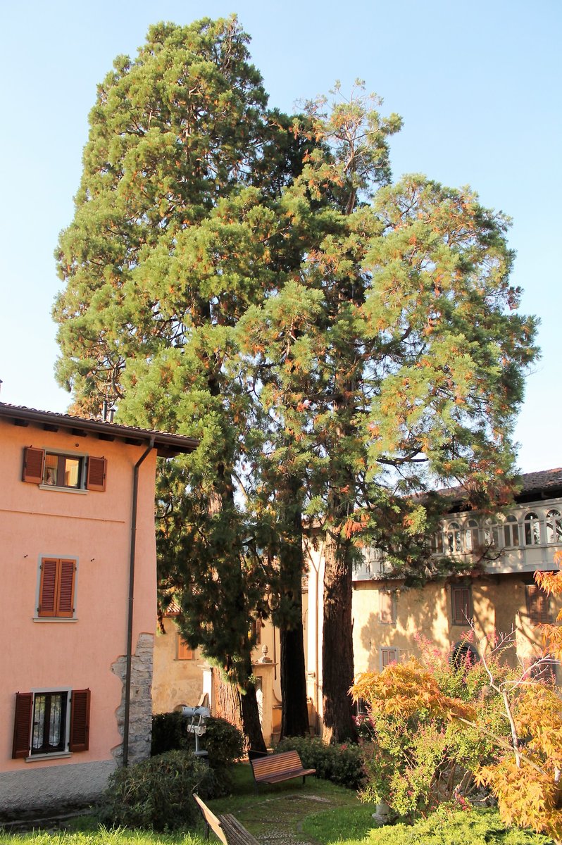 parco Nastro Azzurro