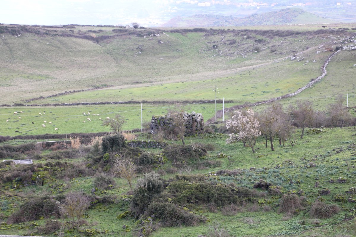 nuraghe Cabu Abbas - Torralba