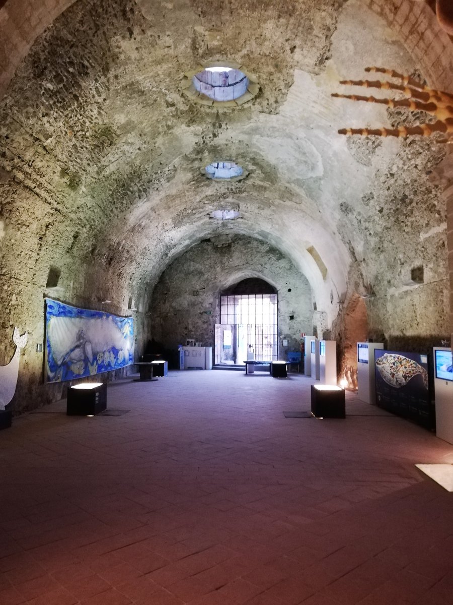 Museo del Mare