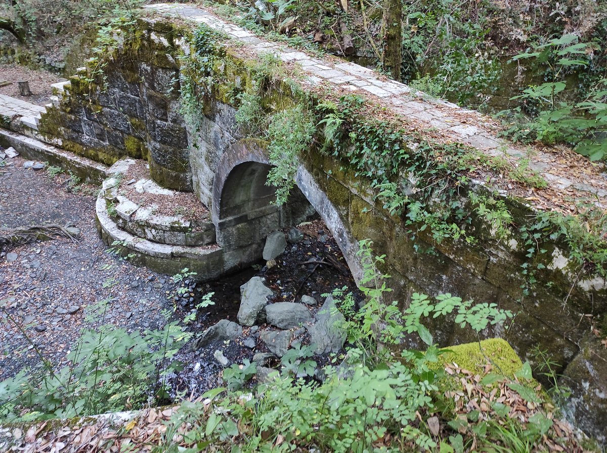 Ponte sulla Fociarella II dell'acquedotto Leopoldino - 1