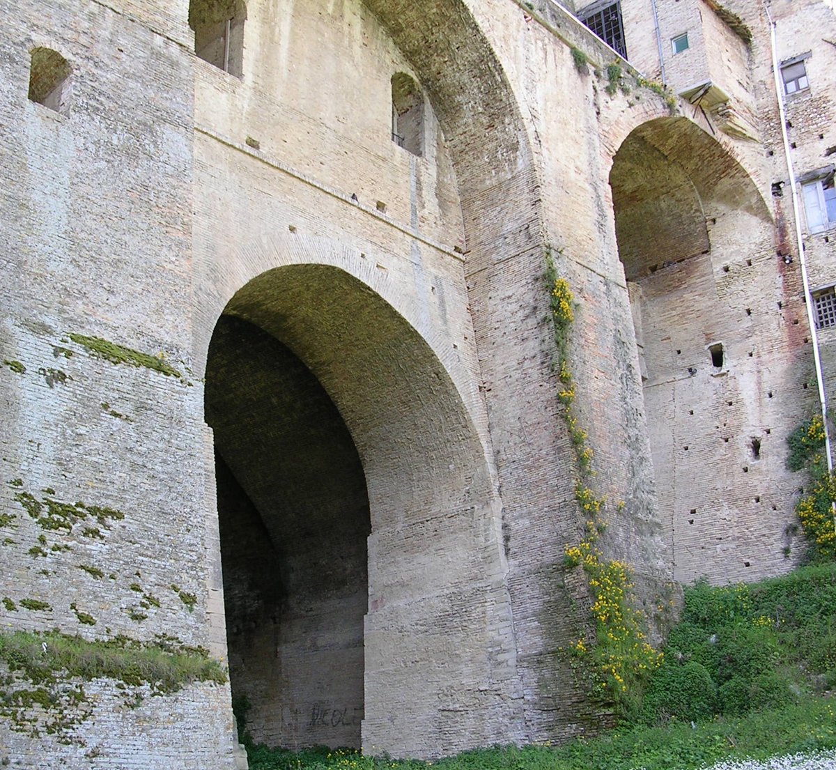 Anxanum