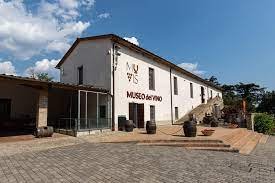 MUVIS - Museo del Vino - Castiglione in Teverina