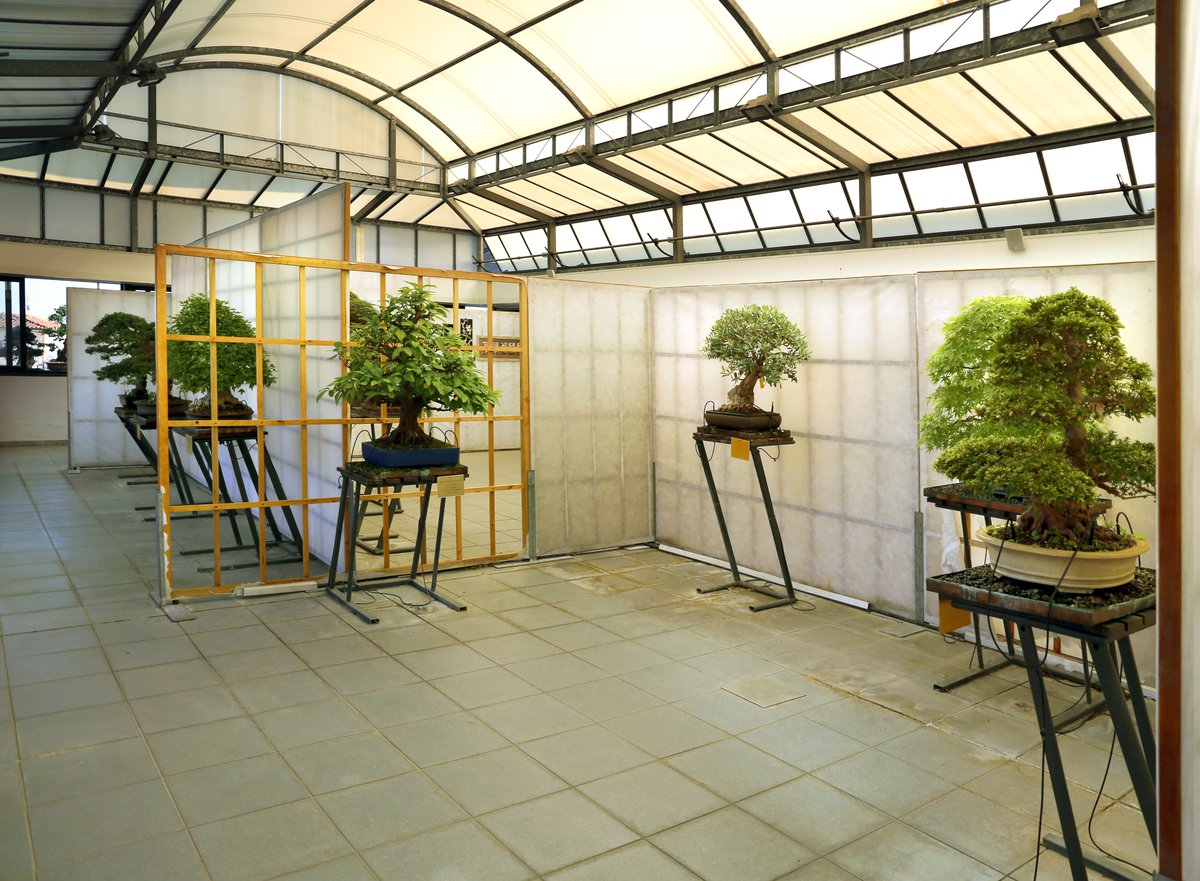 museo del Bonsai