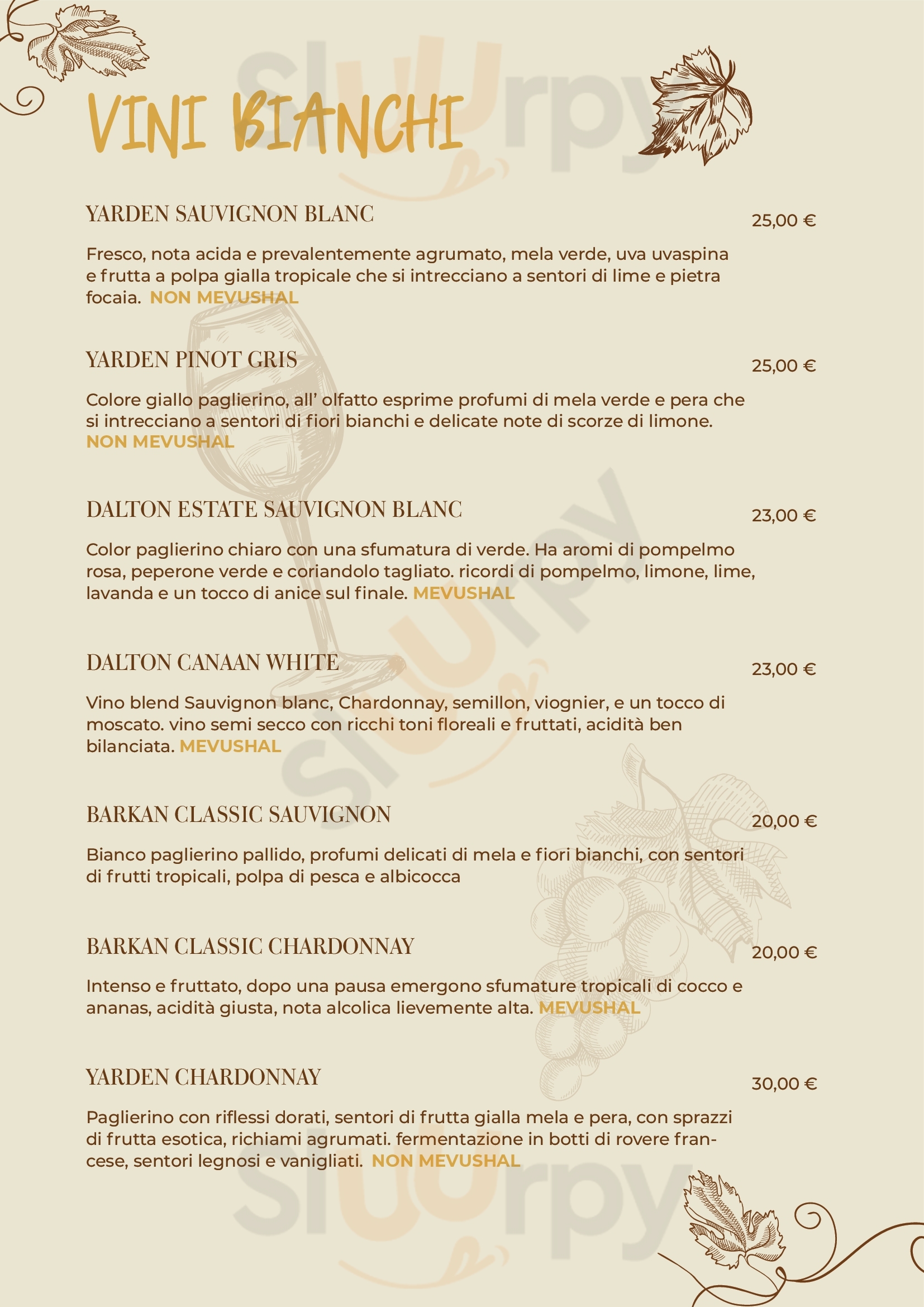 Pagina 13