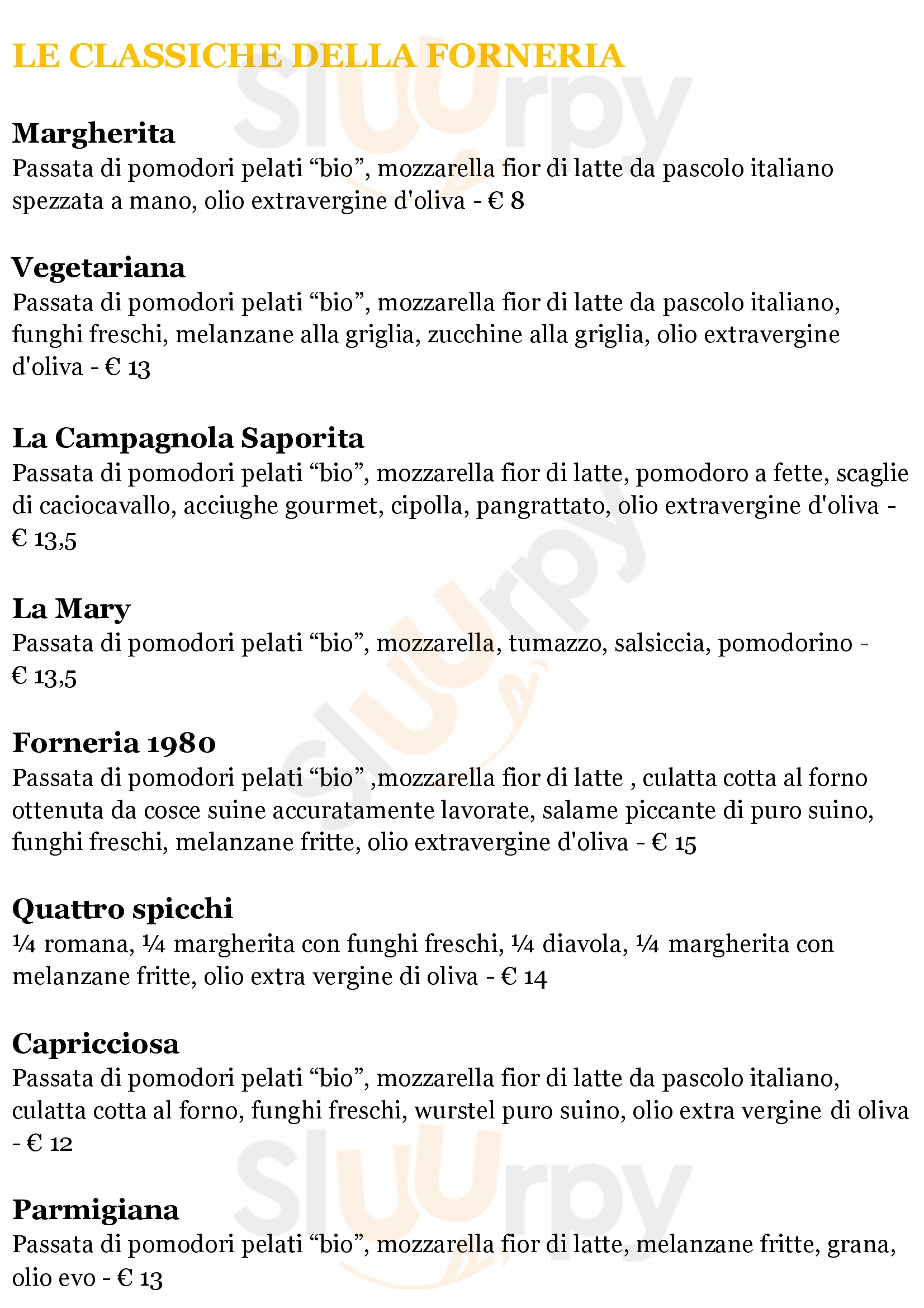 Pagina 16
