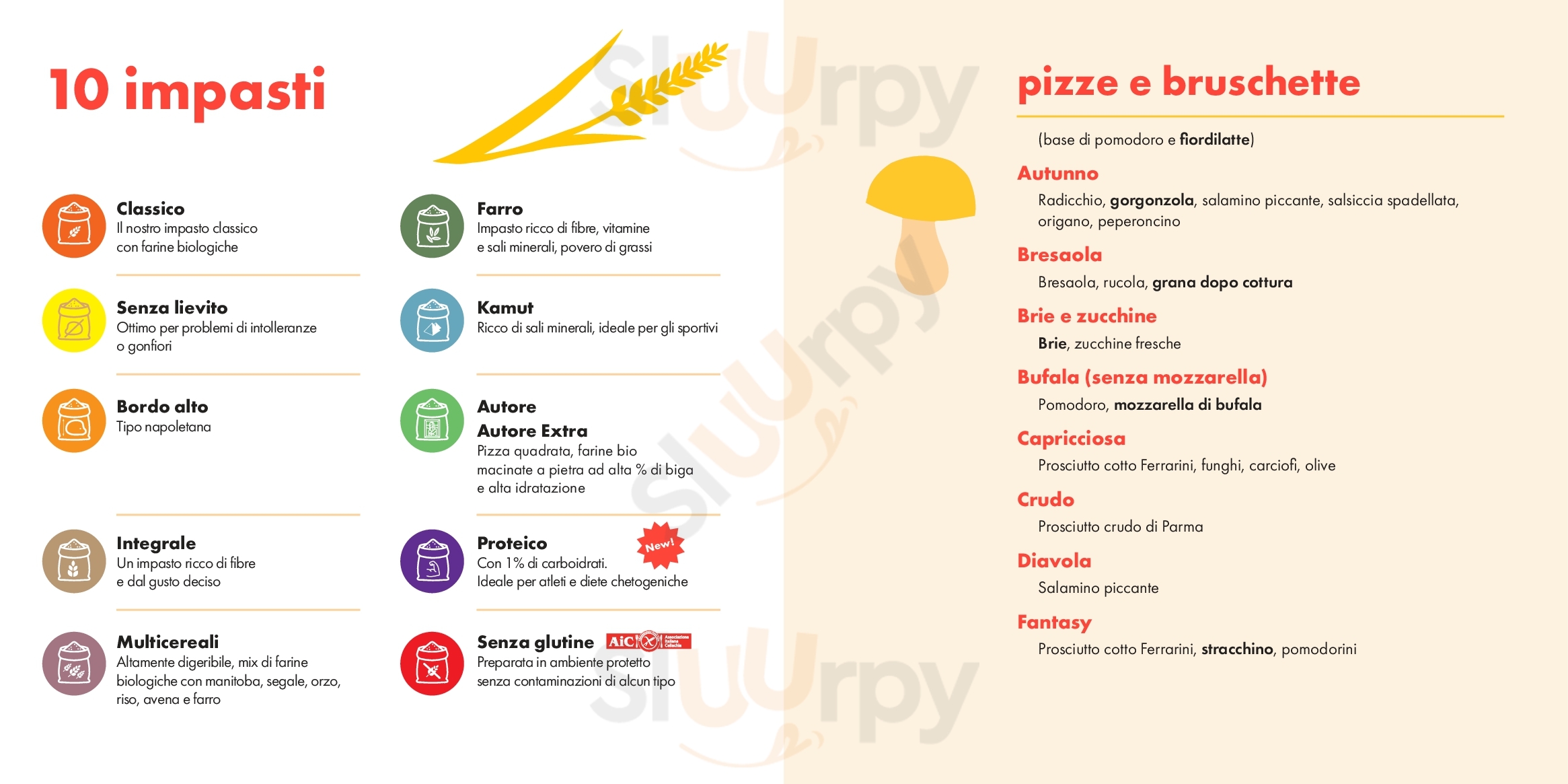 Pagina 12